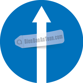 Các xe chỉ được đi thẳng